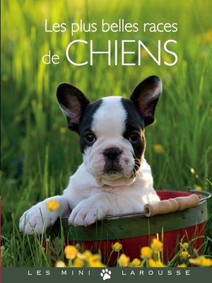 cover image of Les plus belles races de chiens